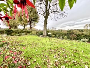 Garden- click for photo gallery